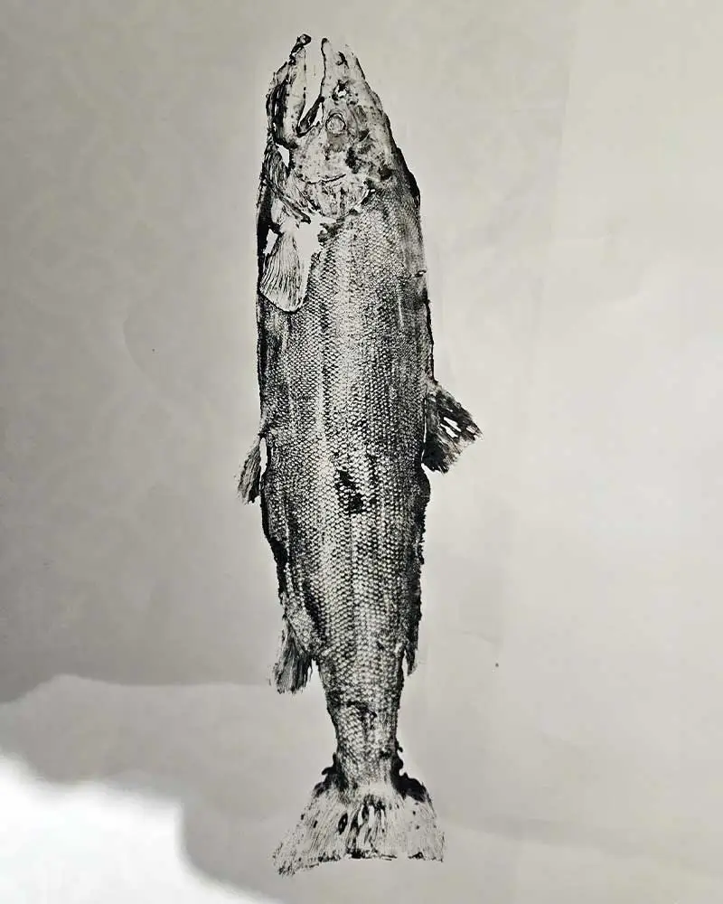 Fish Print 3